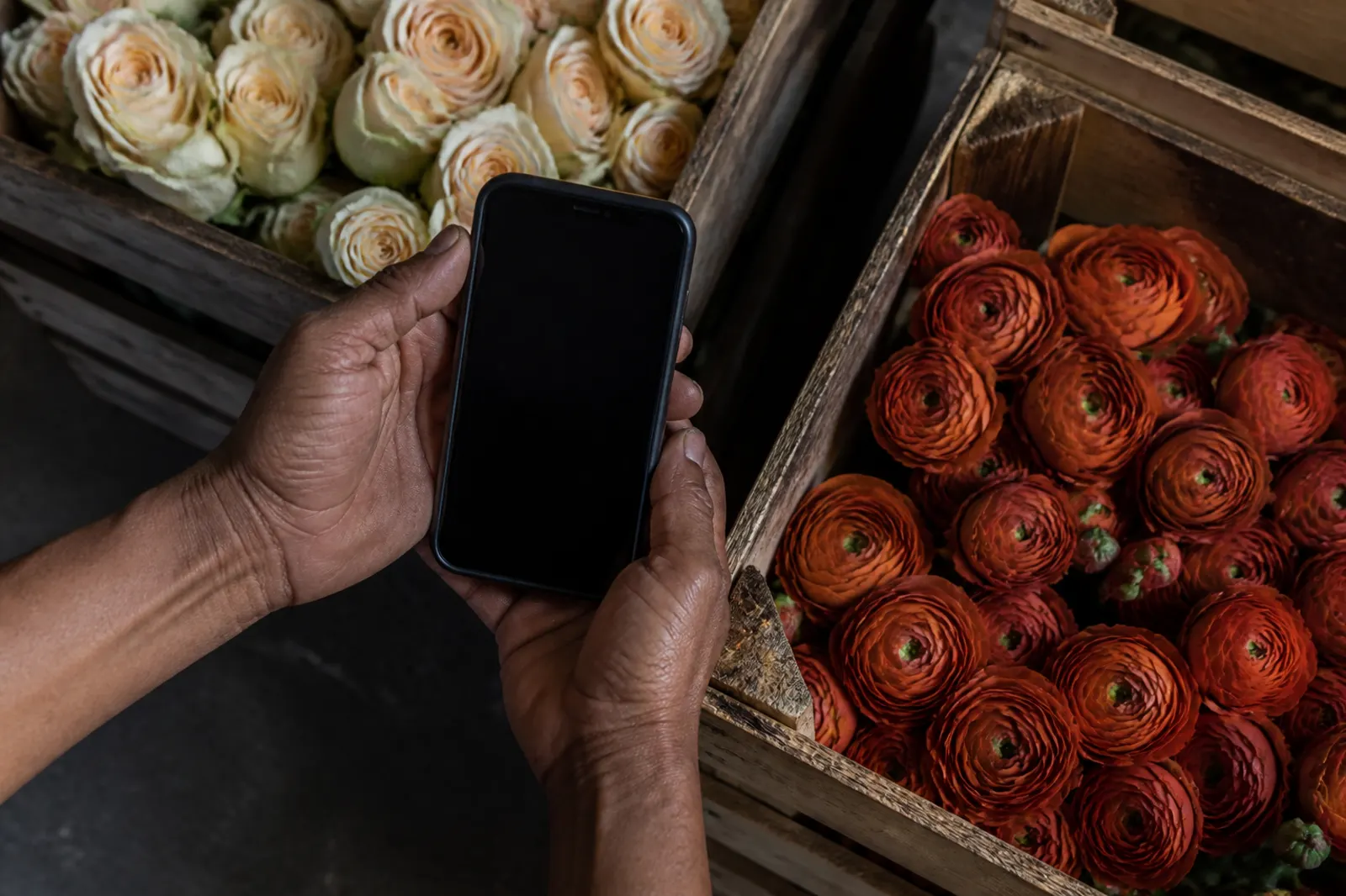 App mobile gratuito do fornecedor de eventos